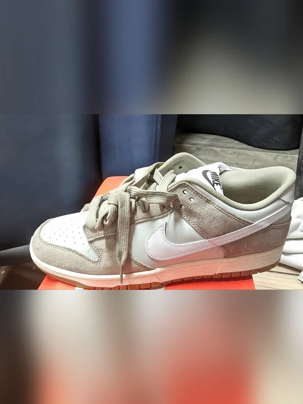 Nike Dunk Low Retro SE